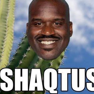 Meet your Posher, Noah